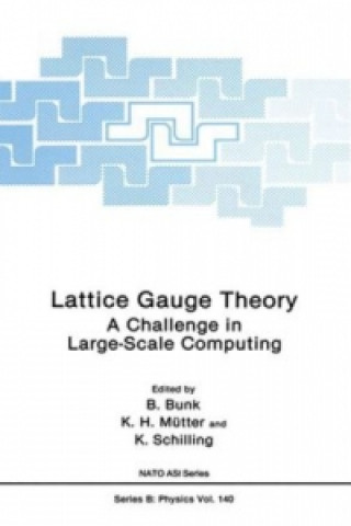 Carte Lattice Gauge Theory B. Bunk