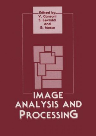 Kniha Image Analysis and Processing Virginio Cantoni
