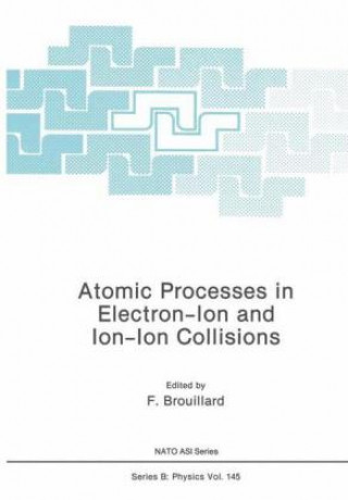 Книга Atomic Processes in Electron-Ion and Ion-Ion Collisions F. Brouillard