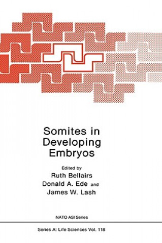 Книга Somites in Developing Embryos Ruth Bellairs