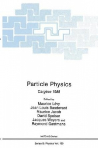 Buch Particle Physics Maurice Lévy
