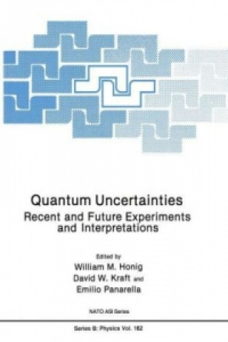 Knjiga Quantum Uncertainties William M. Honig