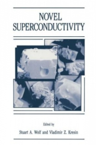 Książka Novel Superconductivity Stuart A. Wolf