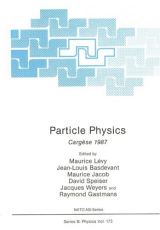 Carte Particle Physics Maurice Levy