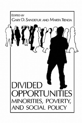 Книга Divided Opportunities: Minorities, Poverty and Social Policy Gary D. Sandefur