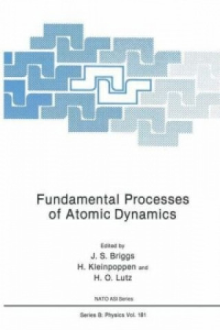 Книга Fundamental Processes of Atomic Dynamics J.S.S. Briggs