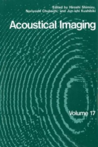 Kniha Acoustical Imaging Hiroshi Shimizu