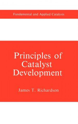 Kniha Principles of Catalyst Development James T. Richardson
