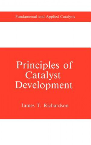 Könyv Principles of Catalyst Development James T. Richardson