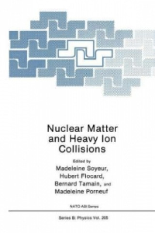 Buch Nuclear Matter and Heavy Ion Collisions Madeleine Soyeur