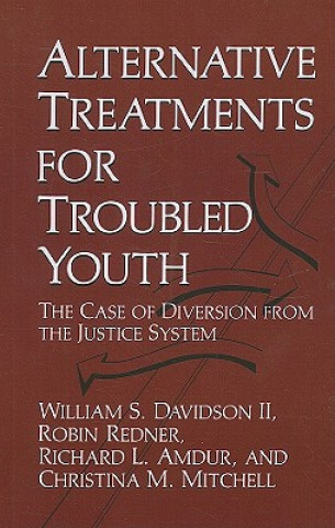 Kniha Alternative Treatments for Troubled Youth R.L. Amdur