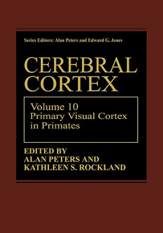 Buch Comparative Structure and Evolution of Cerebral Cortex, Part I Edward G. Jones