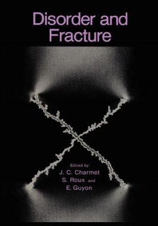 Kniha Disorder and Fracture J.C. Charmet