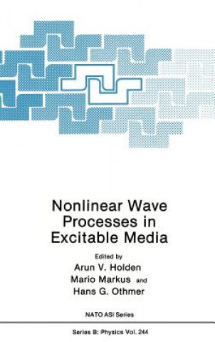 Kniha Nonlinear Wave Processes in Excitable Media Arunn V. Holden