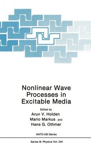 Boek Nonlinear Wave Processes in Excitable Media Arunn V. Holden