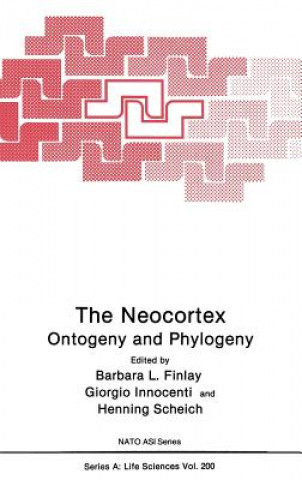 Kniha The Neocortex Barbara L. Finlay