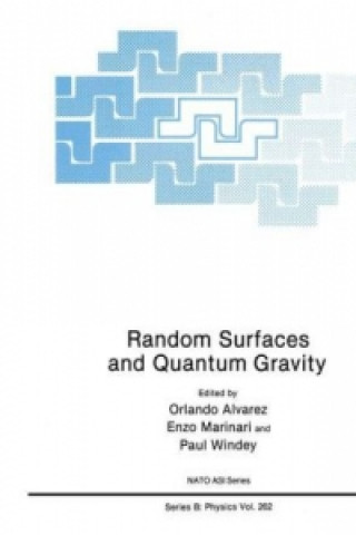 Kniha Random Surfaces and Quantum Gravity Orlando Alvarez