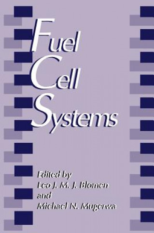 Libro Fuel Cell Systems L.J.M.J. Blomen