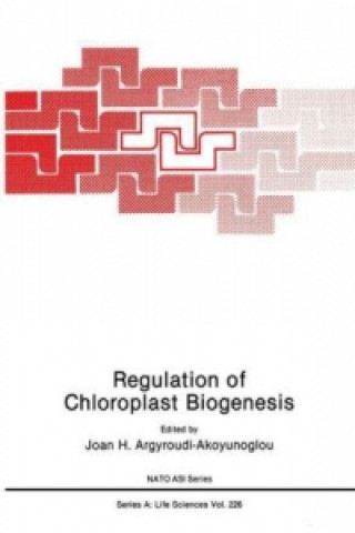Kniha Regulation of Choloroplast Biogenesis Joan H. Argyroudi-Akoyunoglou