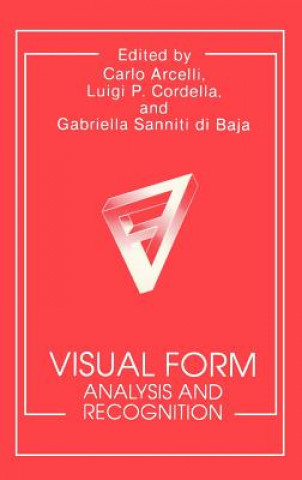 Kniha Visual Form C. Arcelli