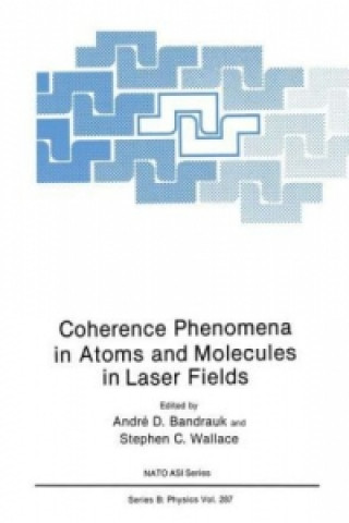 Könyv Coherence Phenomena in Atoms and Molecules in Laser Fields André D. Bandrauk