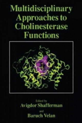 Kniha Multidisciplinary Approaches to Cholinesterase Functions Avigdor Shafferman