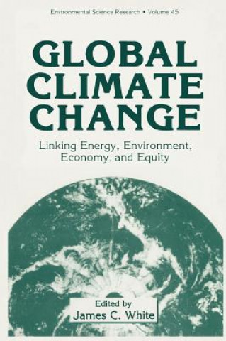 Kniha Global Climate Change James C. White