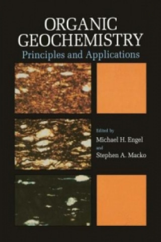Книга Organic Geochemistry Michael H. Engel