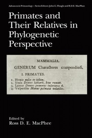 Buch Primates and Their Relatives in Phylogenetic Perspective Ross D.E. MacPhee