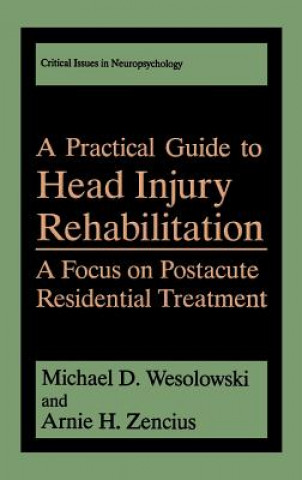 Kniha Practical Guide to Head Injury Rehabilitation Michael D. Wesolowski