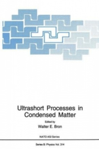 Книга Ultrashort Processes in Condensed Matter Walter E. Bron