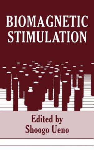 Kniha Biomagnetic Stimulation S. Ueno