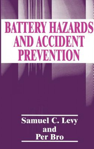 Knjiga Battery Hazards and Accident Prevention P. Bro