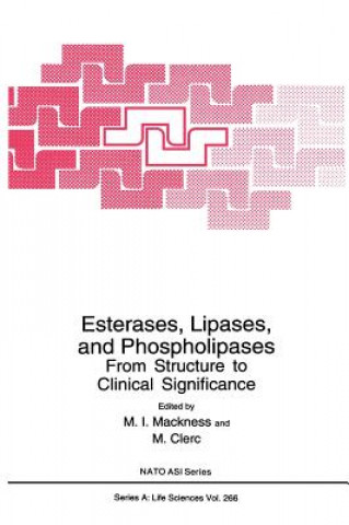 Könyv Esterases, Lipases, and Phospholipases M.I. Mackness