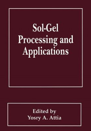 Kniha Sol-Gel Processing and Applications Y.A. Attia