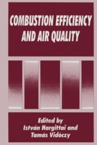 Knjiga Combustion Efficiency and Air Quality István Hargittai