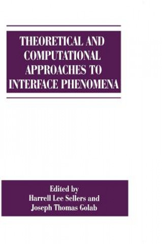 Kniha Theoretical and Computational Approaches to Interface Phenomena J.T. Golab