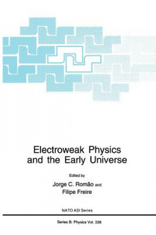 Kniha Electroweak Physics and the Early Universe Jorge C. Rom