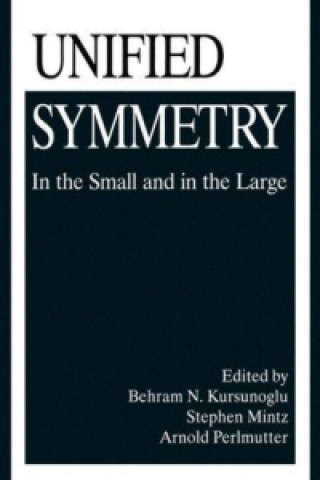 Kniha Unified Symmetry Behram N. Kursunogammalu