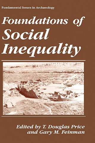 Książka Foundations of Social Inequality T. D. Price