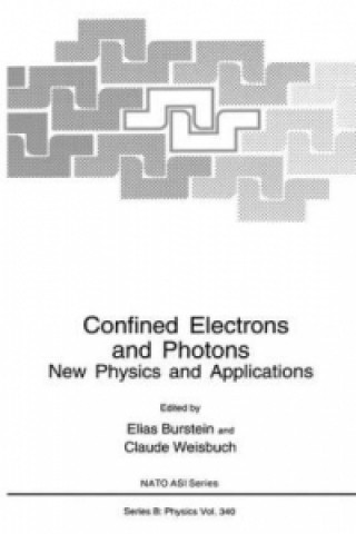 Kniha Confined Electrons and Photons Elias Burstein