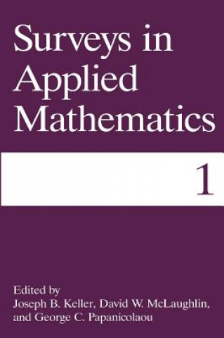 Knjiga Surveys in Applied Mathematics Joseph B. Keller