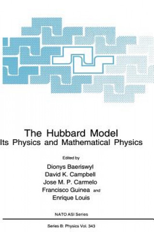 Buch The Hubbard Model Dionys Baeriswyl