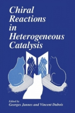 Könyv Chiral Reactions in Heterogeneous Catalysis V. Dubois