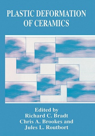 Könyv Plastic Deformation of Ceramics R.C. Bradt
