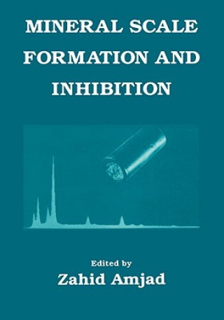 Kniha Mineral Scale Formation and Inhibition Z. Amjad