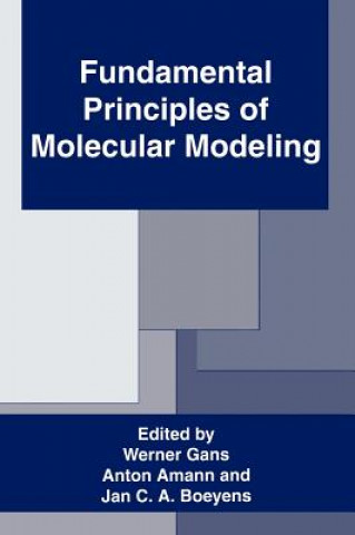 Carte Fundamental Principles of Molecular Modeling Anton Amann