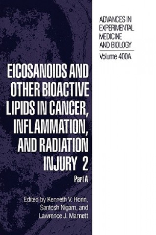 Könyv Eicosanoids and Other Bioactive Lipids in Cancer, Inflammation, and Radiation Injury 2 Kenneth V. Honn