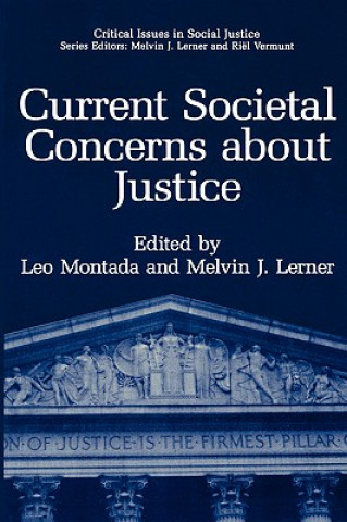 Carte Current Societal Concerns about Justice Leo Montada