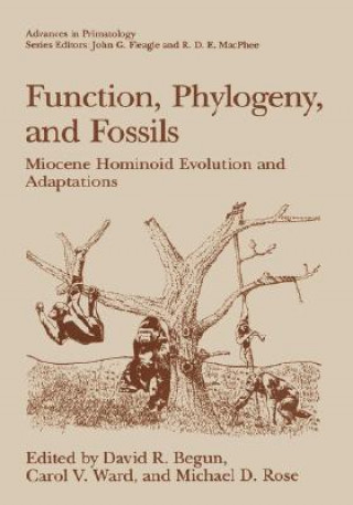Könyv Function, Phylogeny, and Fossils David R. Begun